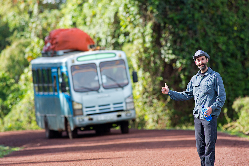 If all else fails... at least there are regular bus connections boasting great music installations in the Harenna jungle