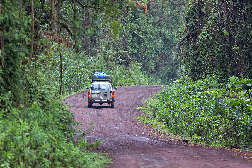 We walked behind our expedition vehicle, looking for fresh predator tracks in the morning.