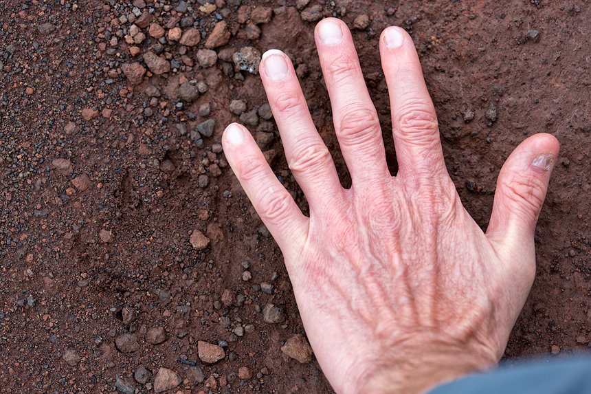 A paw print of a hyena. Check out the claws in the print.