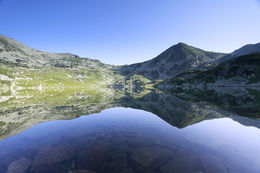 Trip report: funny tasting toads, glacial lakes and a hairy travel companion