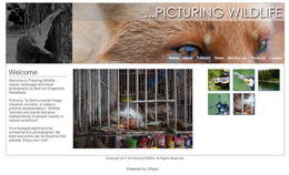 Website online!