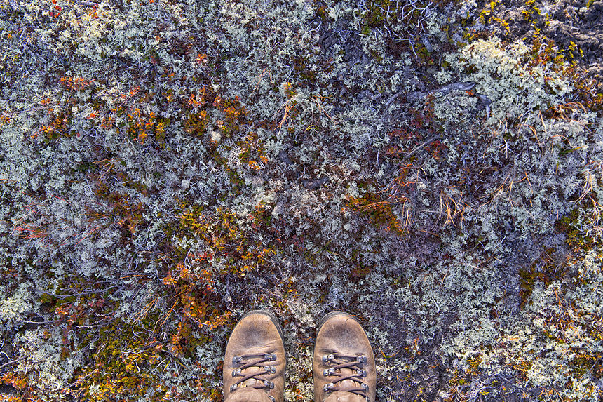 Barren plateaus, many colours.