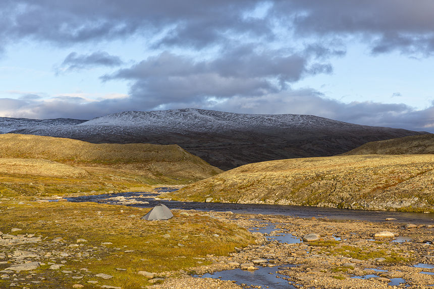 Wild camping in Norway: use down sleeping bags, not muskox!