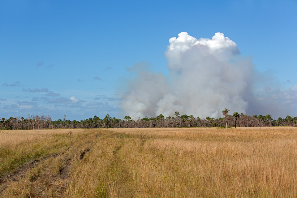 A distant wildfire. Canon 50D, Canon EF 70-200mm f/2.8L IS II USM, 1/800, f/6.3, iso 100, handheld.