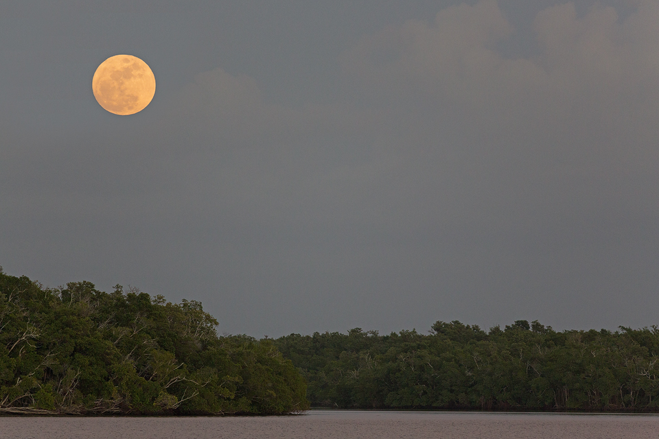 Sunset over Everglades National Park. Canon 5D Mark III, Canon EF 400mm f/5.6 L USM, 1/640, f/5.6, iso 2000, handheld.