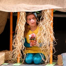 The Three Little Pigs