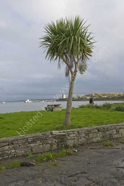 Carrigaholt County Clare Ireland