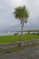 Carrigaholt County Clare Ireland