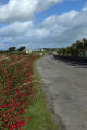 Kilkee Road Carrigaholt