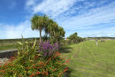 Carrigaholt Beach Front