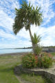 View of the New Pier carrigaholt