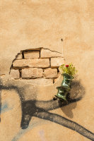 Wall Flower