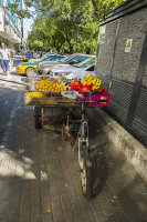Mobile fruit shop Beijing