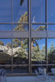 Top cable car station Palm Springs