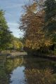 Coventry Canal at Alvecote.