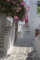 Side Street Mykonos Greece