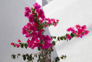 Colourful corner