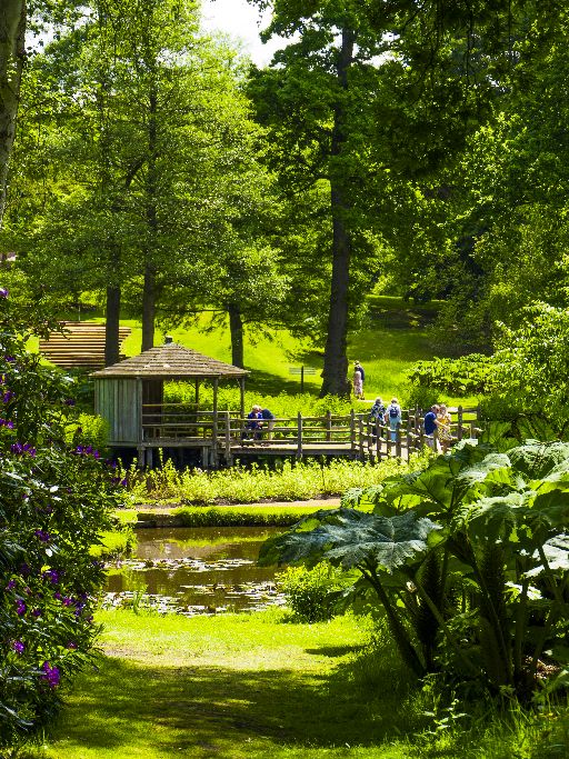 The Savill Garden,Windsor Great Park England.