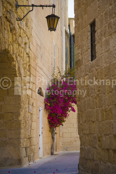 Mdina.