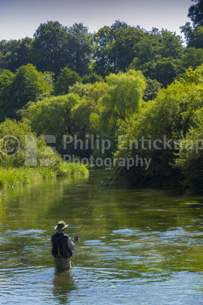 Fly Fishing ,River Itchen,Hampshire ,England