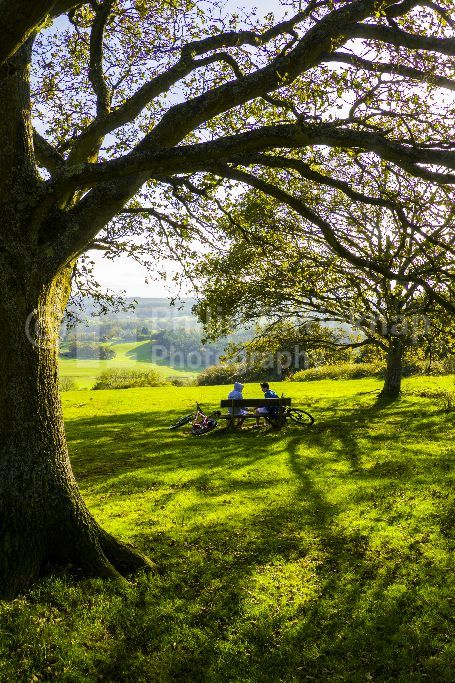 Newlands Corner ,Surrey,England.