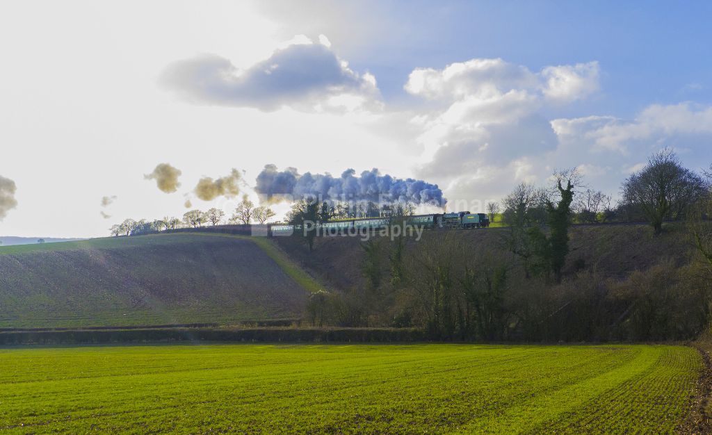 Schools Class Locomotive number 925 “ Cheltenham “on the Mid Hants Railway (Watercress Line) Hampshire.