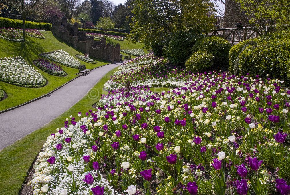 Guildford Castle Grounds ,Surrey England 2015