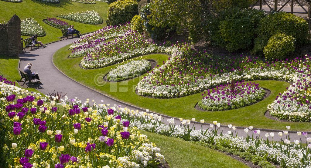 Guildford Castle Grounds ,Surrey England 2015