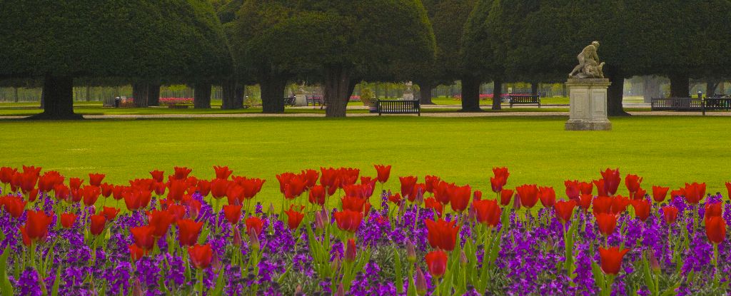 The Great Fountain Garden,Hampton Court Palace ,Surrey,England