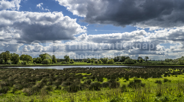 Wetlands Centre at The Vyne NT Hampshire ,England