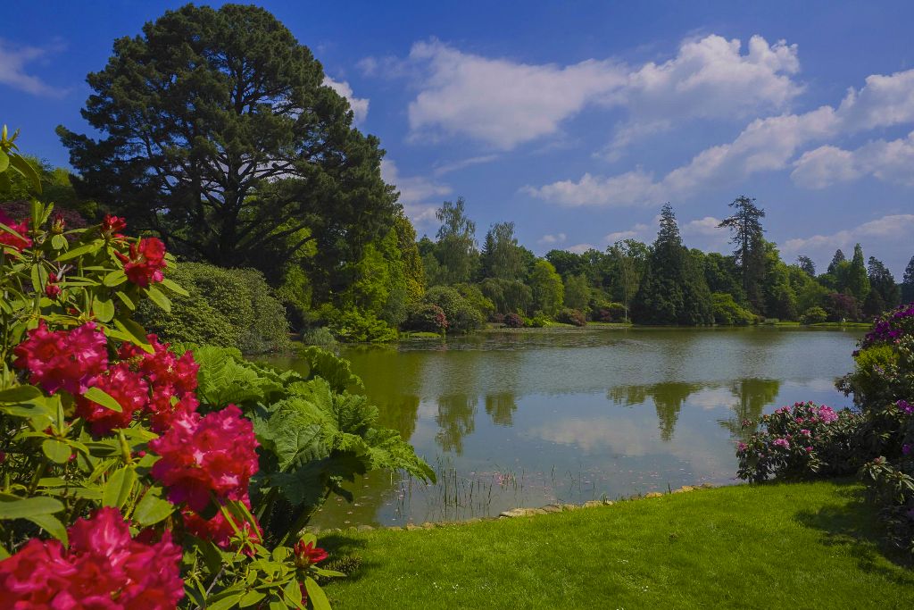 Sheffield Park Gardens NT Uckfield, East Sussex