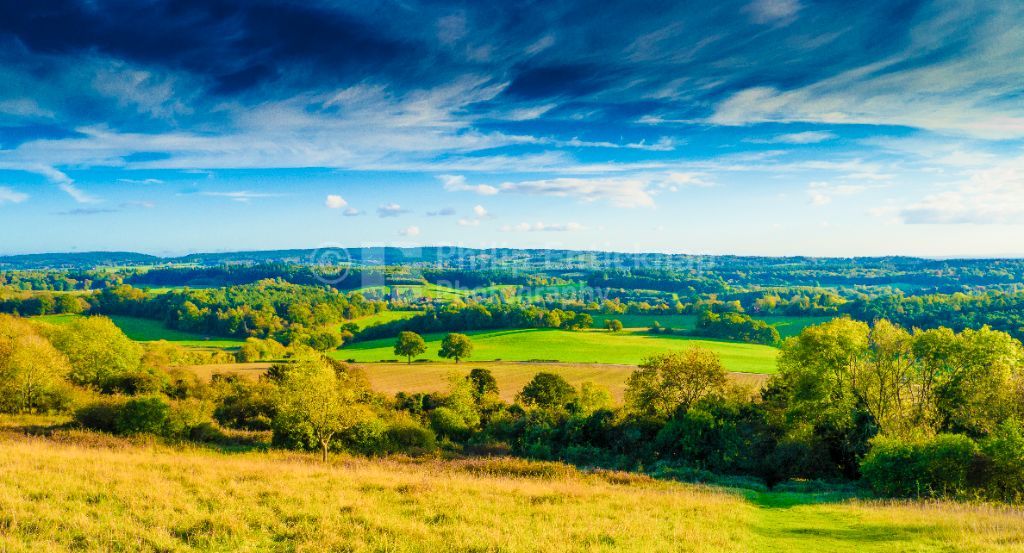 View from Newlands Corner