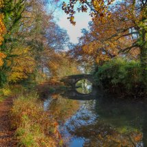 Basingstoke Canal Autumn