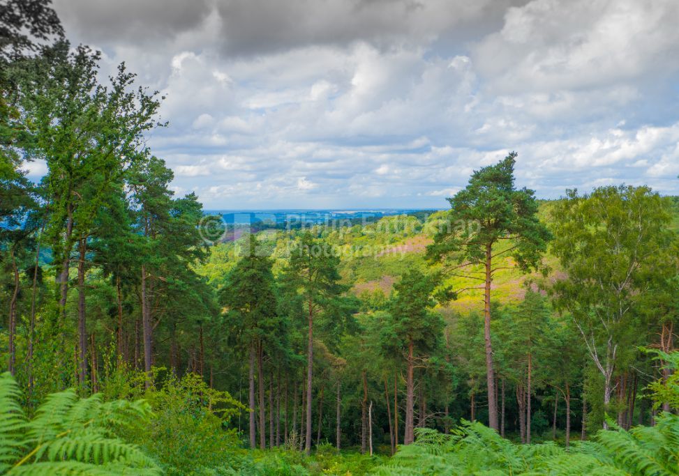 The Devil's Punchbowl ,Hindhead ,