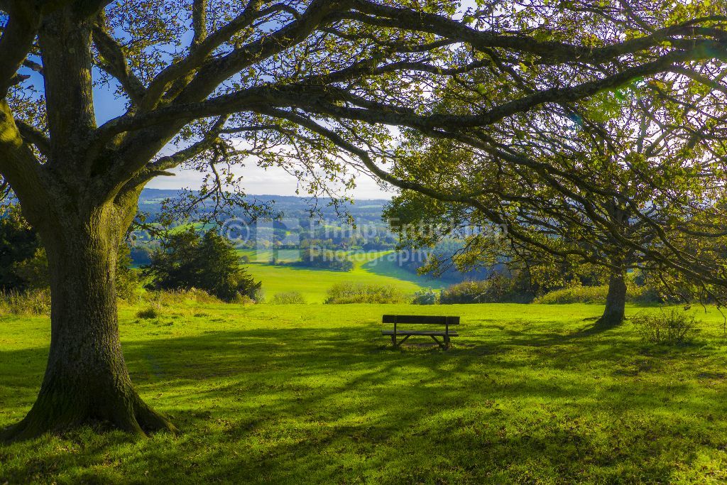 Newlands Corner ,Surrey,England.