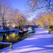 Winter, Basingstoke Canal,Hampshire,England.