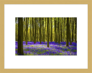 framed print