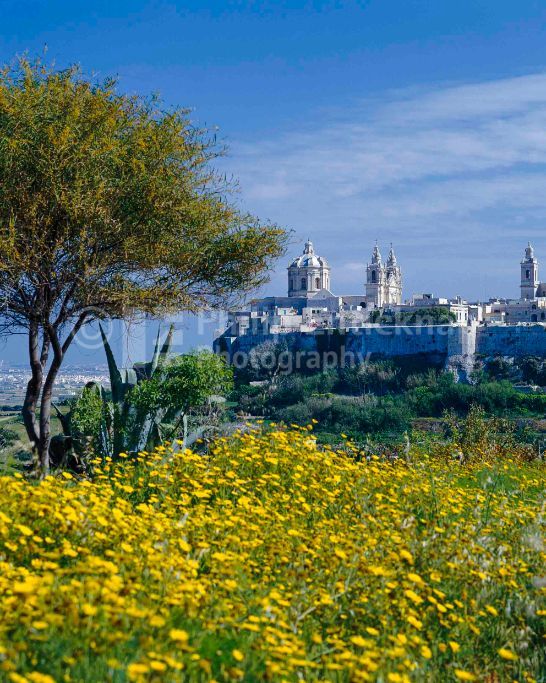 View to Mdina, Malta