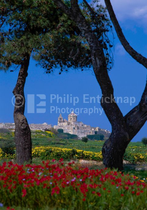 View to Medina ,