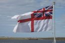 Falklands 2011