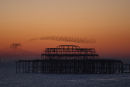 Starlings over Brighton