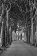Canal du Midi