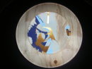 Wall Platter : Sycamore : 13 inches diameter : Ref 100