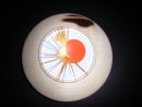 Abstract Form : Sycamore : 7 inches diameter : Ref 249