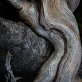 At Last We are Together