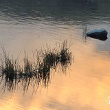 Calm