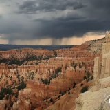 Desert Rain
