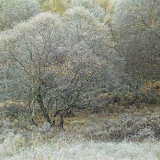 Madainn-an-Reothadh