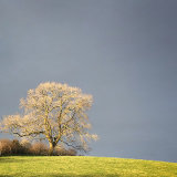 Momentary Light
