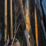 Silver Birch And Minerals